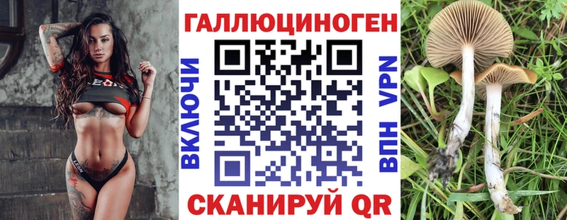 купить наркоту  Кондопога  Галлюциногенные грибы MAGIC MUSHROOMS 