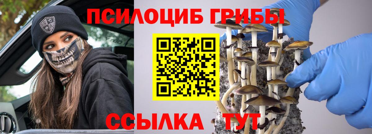 Галлюциногенные грибы GOLDEN TEACHER  Вход с VPN  что такое наркотик  Кондопога 