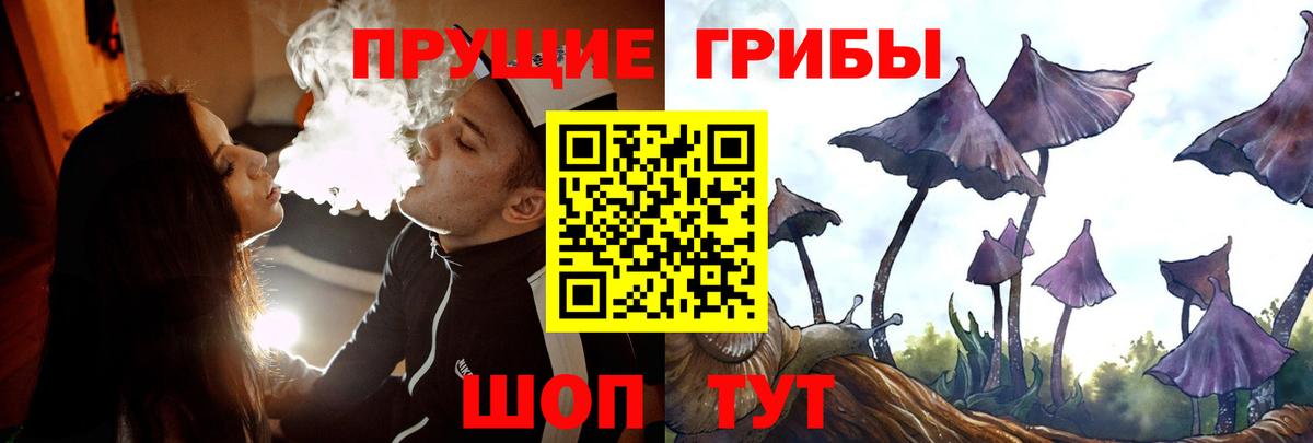 Галлюциногенные грибы Cubensis Кондопога